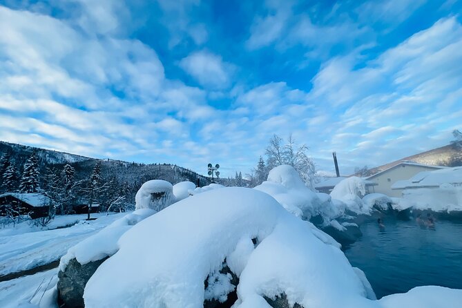 Chena Hot Spring Day Tour - Customer Experiences