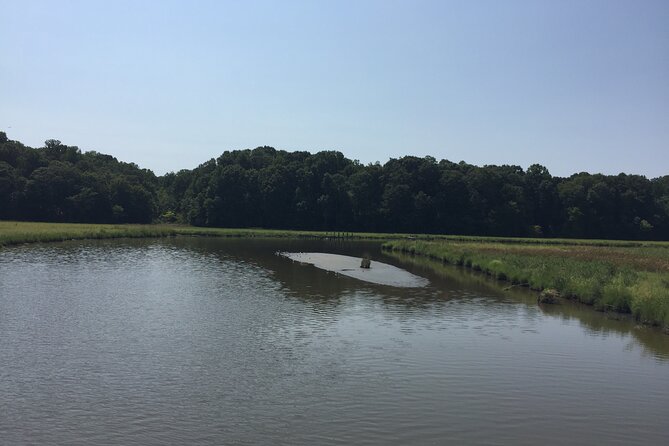 Chesapeake Beach Guided Walking Tour Review - Unique Sightings and Experiences