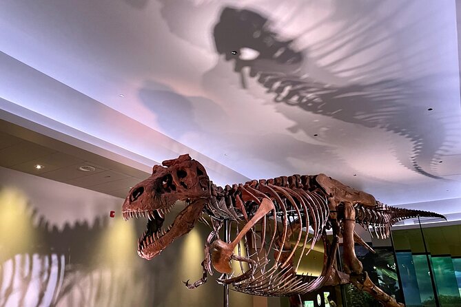 Chicago Field Museum of Natural History Semi-Private Guided Tour - Sum Up