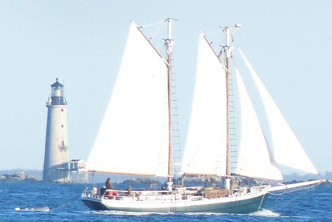 Classic Tall Ship Sightseeing Cruise of Boston Harbor - Safety and Participation