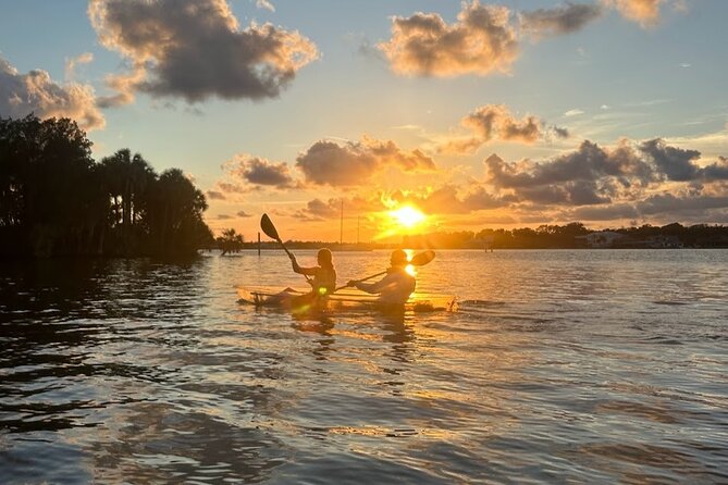 Clear Kayak Manatee Viewing Tour Review - Tips for Potential Participants