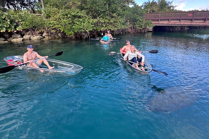 Clear Kayak Peanut Island Guided Tour Palm Beach Singer Island - Wildlife Sightings and Highlights