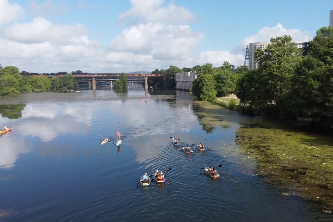 Clear Kayak Tour at Ladybird Town Lake in Austin - Tips for a Successful Kayaking Adventure