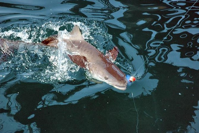 Clearwater Inshore Fishing Charter - Meeting and Pickup Details