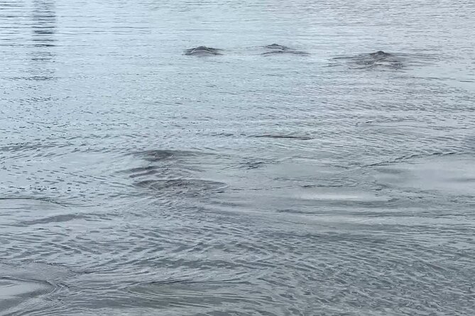 Coastal Discovery Cruise - What to Expect on the Cruise