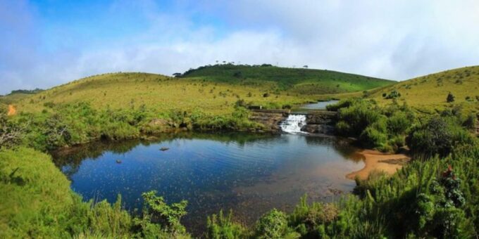 Comprehensive Excursion: Horton Plains and Pedro Tea Factory - Frequently Asked Questions