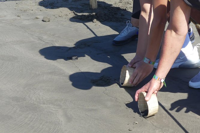 Countryside Boat Ride Beach-Horseback Ride Turtle Release - Crocs - Booking Process