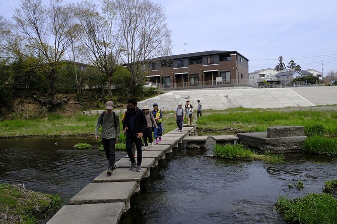 Countryside Walking & Mountain Hiking in Organic Town Near Tokyo - Practical Tips for a Memorable Adventure