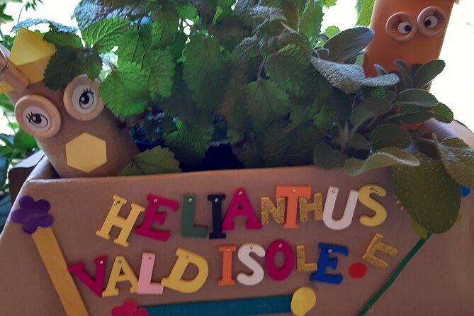 Creative Workshop - Vegetable Garden in Boxes - Meet Your Instructor