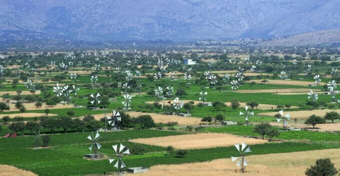 Crete, Visit Cave of Zeus, Taste 0live Oil and Cretan Food - Customer Feedback