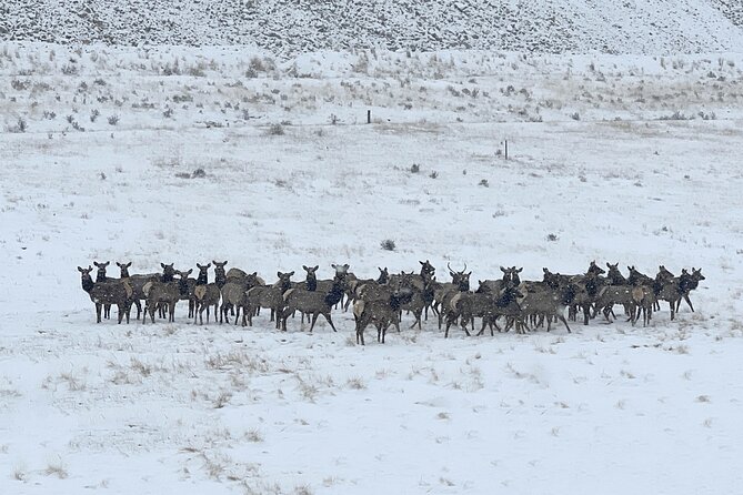 Cripple Creek Back Country Jeep Tour - What to Expect