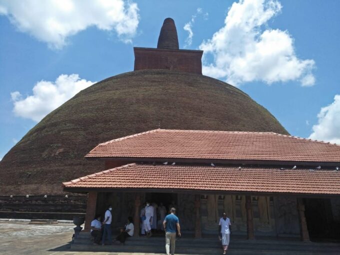 Cultural Odyssey: 10 Days of Splendor in Sri Lanka - Tea Plantations of Nuwara Eliya