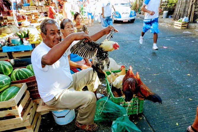Cultural Palma Sola Petroglyphs City Market Experience With Lunch - Pickup and Transportation