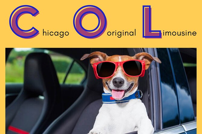 Curbside Sedan Transportation From OHARE or Midway Airport to Downtown Chicago - Why Choose This Service?