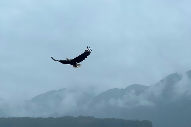 Custom Tour In Ketchikan: A Review - Value for Money