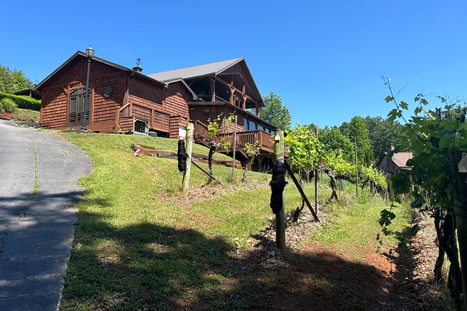 Dahlonega Wine & Dine Private Tour From Atlanta - What to Expect on Your Tour