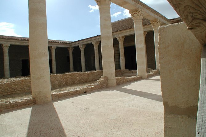 Day Excursion Kairouan_El Jem From Tunis - Accessibility Information
