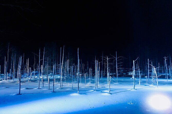 Day Tour to Asahiyama Zoo Biei Blue Pond Furano by Private Car - Discovering the Biei Blue Pond