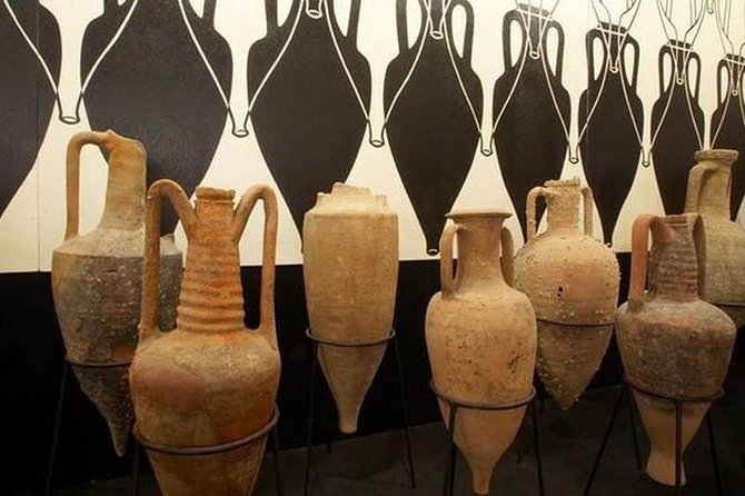 Day Trip: Olive Oil And Wine Museum With Lunch + Horse Riding - Olive Oil and Wine Tasting
