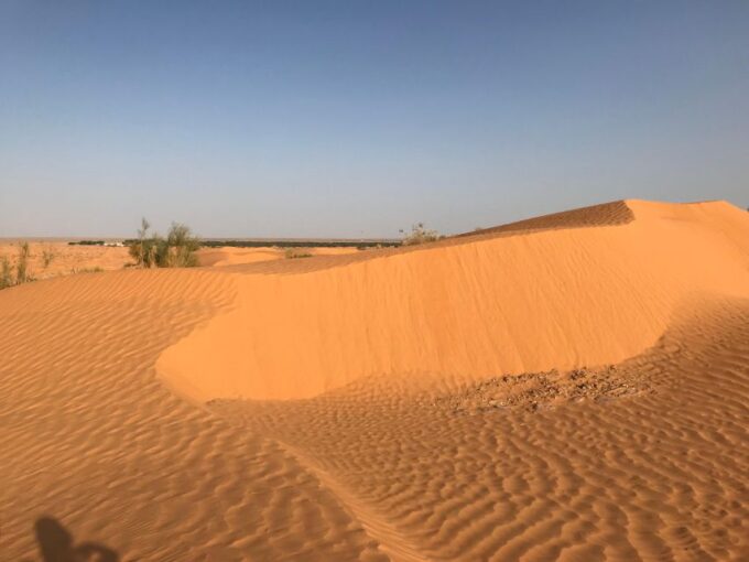 Day Trip to Desert to Ksar Ghilane From Djerba or Zarzis - Camel and Quad Rides