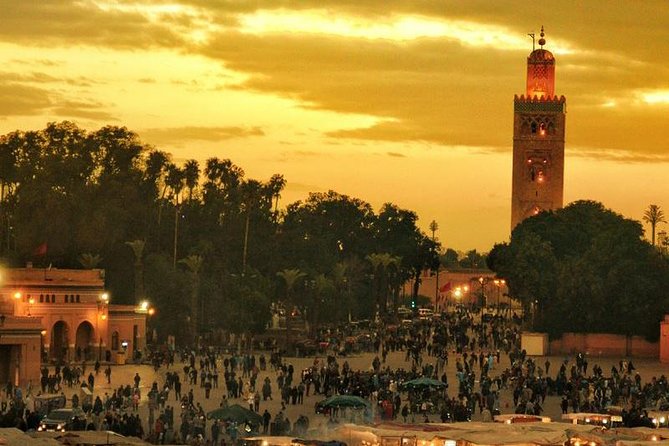 Day Trip to Marrakech From Casablanca - Reviews and Ratings