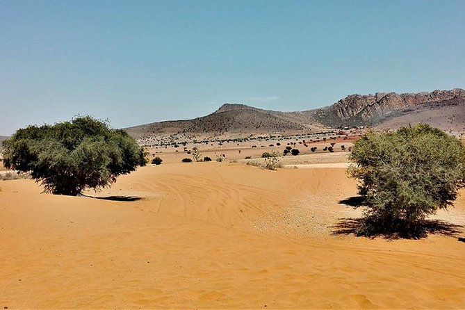 Day Trip to Mini Sahara - Booking Information