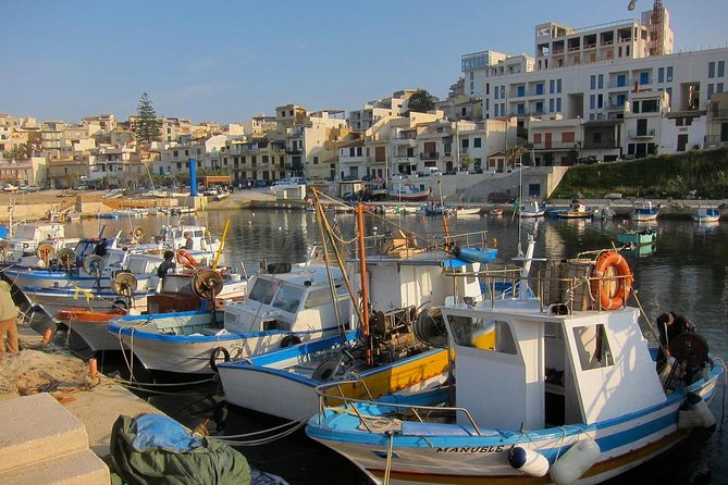 Day Trip to the Acropolis of Selinunte From Trapani - Tips for the Day Trip