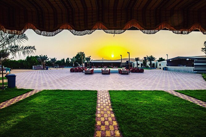 Desert Safari Dubai in 4x4 Vehicle With Dinner - Customer Reviews and Feedback