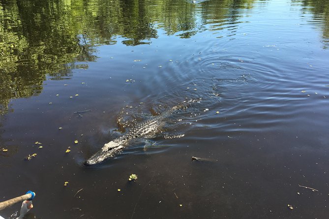 Destrehan Plantation & Small Airboat Tours - Airboat Tours