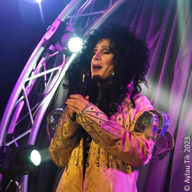Dîner 5 Stars + Show - Show Details