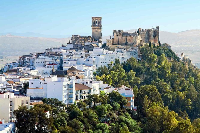 Discover Beautiful Surroundings of Andalusia on a Private Full-Day Tour - Plan Your Ideal Andalusian Adventure