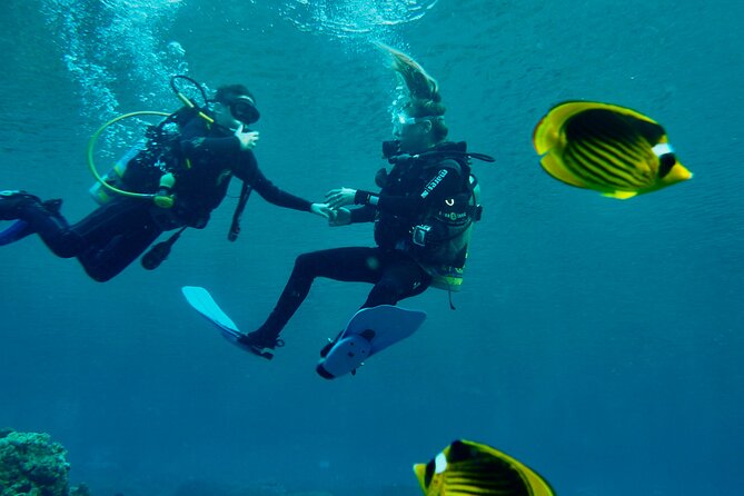 Discover Scuba Diving - Indroductory Dives - How to Book Your Dive