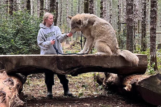 Discover the Beauty of the Wild & Roam in the Spirit of the Wolf - Memorable Wolf-Themed Souvenirs