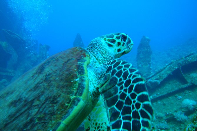 Diving Baptism - Frequently Asked Questions