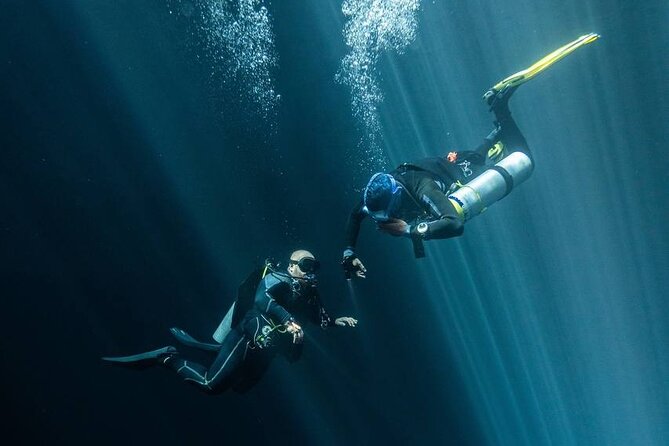 Diving in Cenotes: Discovering the Mayan Underworld - Scheduling Your Adventure