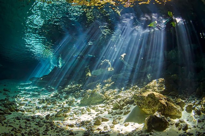 Diving Package Sea and Cenotes - Diving Locations: Sea and Cenotes