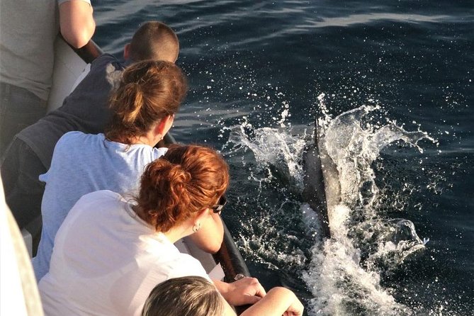 Dolphin and Whale Watching Sunset Cruise - Tips for a Memorable Experience