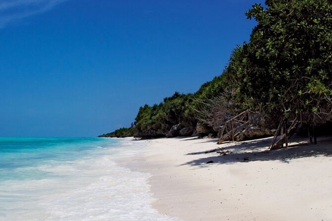 Dolphin & Josani Forest Snorkel Sea Excursion - Zanzibar - Booking Information and Tips