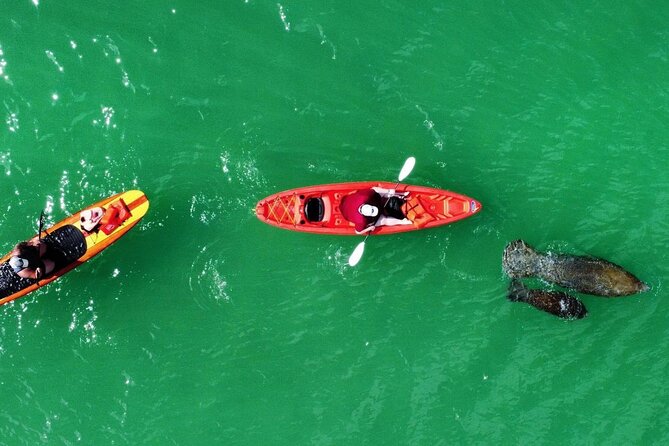 Dolphin, Manatee and Sea Turtle Adventure Tour Review - Frequently Asked Questions