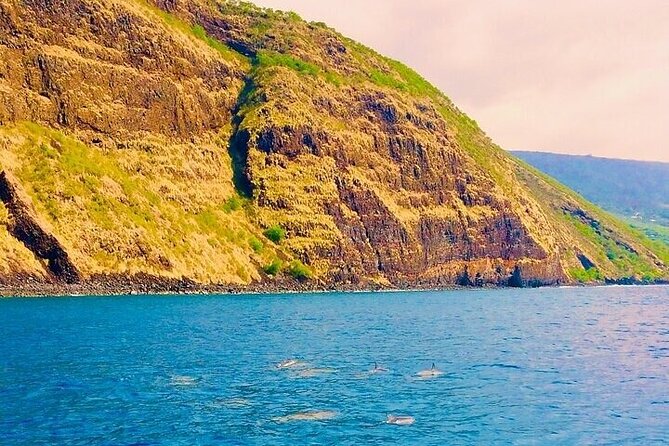 Dolphin, Sea Cave & Captain Cook Snorkel Combo in Kealakekua Bay - Comfortable and Personalized Experience