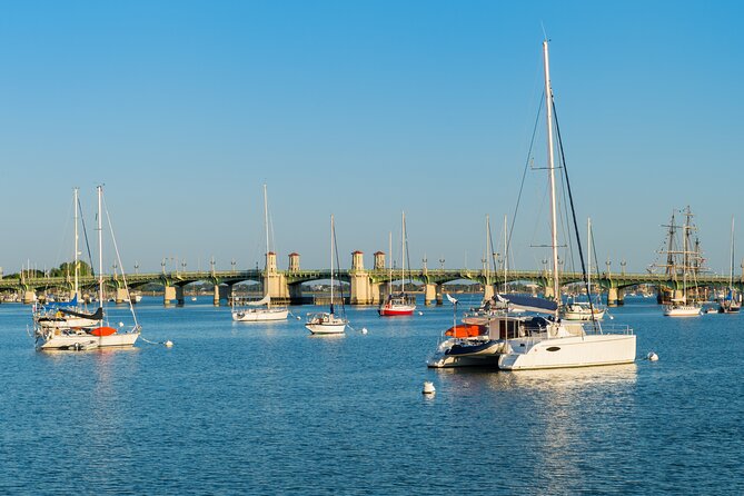 Dolphin Watch & Historical Harbor Tour in St. Augustine - Discovering St. Augustines History