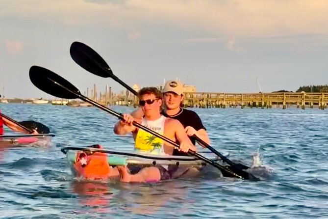 Dolphins and Wildlife Ecotour - Spotting Dolphins and Other Wildlife