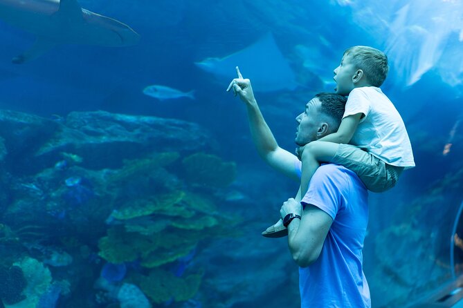 Dubai City Pass: All Inclusive Pass With Hop on Hop off & Tours - Cancellation Policy and Terms