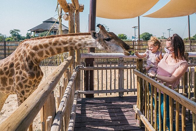 Dubai Safari Park With Transfer - Attractions and Activities