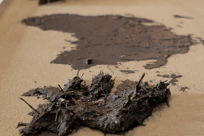 EARTH & ART: Create Your Own Clay Masterpiece - Explore the Seamless Transportation to the Workshop