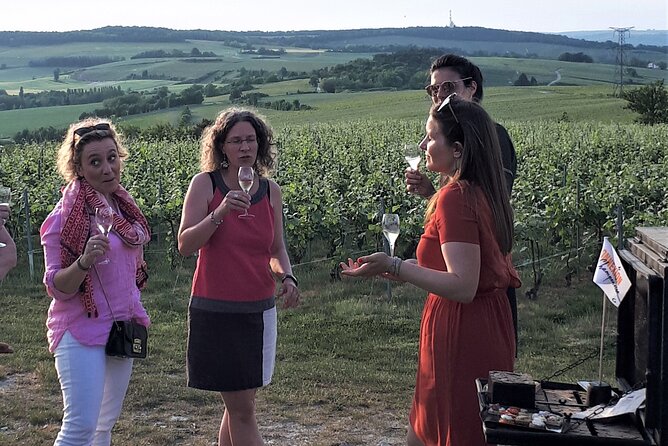 Earth & Sky: Overview of the Vineyard & 4x4 Tour - Discover the Earth and Sky