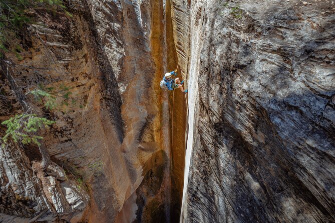 East Zion: Stone Hollow Full-day Canyoneering Adventure - Health and Safety Considerations
