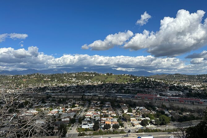 Eastside Express by Luxury E-Bike: LA River Frogtown Go Dodgers! - Highlights of the Guided Tour Experience