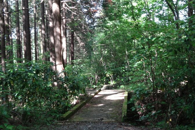 Easygoing Nature Walk in Hakone Tour - Exploring the Hakone Botanical Garden of Wetlands