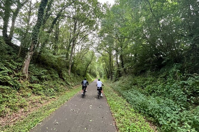 Electric Bike Rental From Paris to Versailles or Normandy - Customer Reviews and Feedback